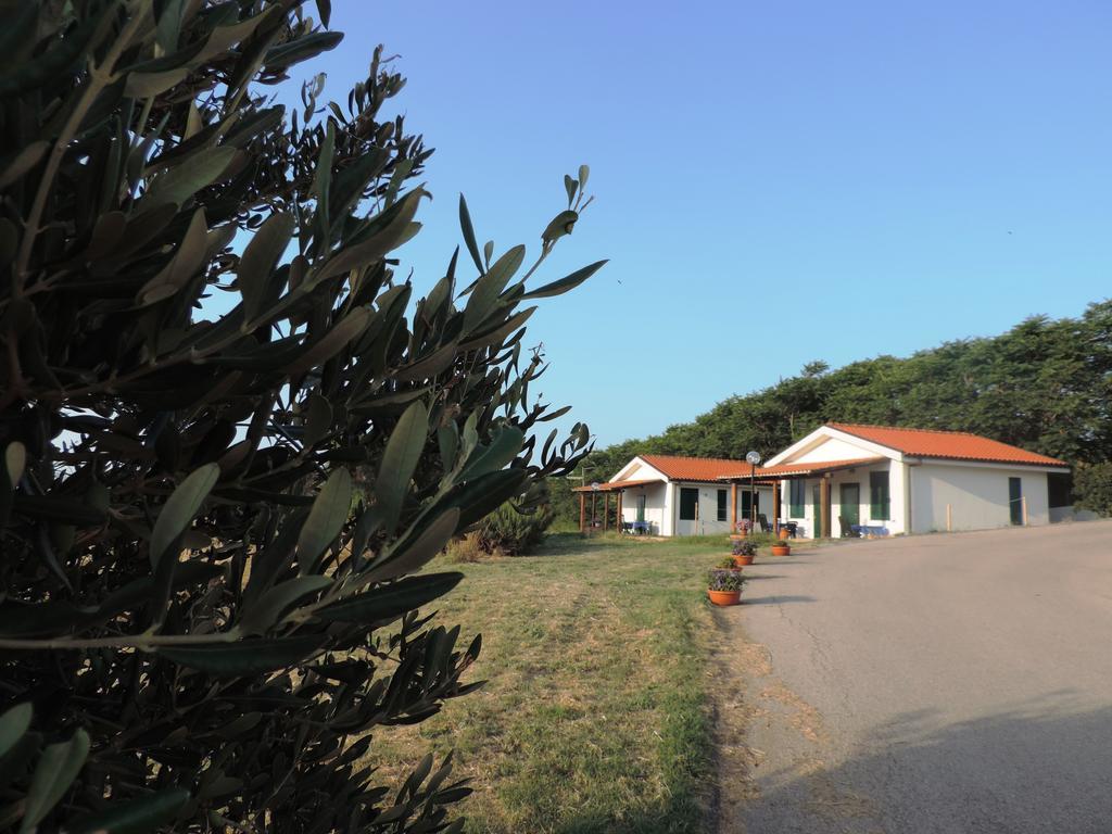 Agriturismo Sila Termoli Exteriér fotografie